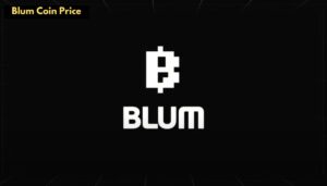  Blum Coin Price 