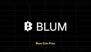  Blum Coin Price 