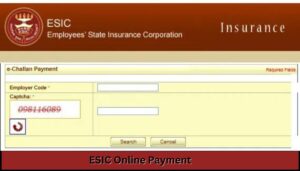 Benefits of ESIC Online Payment