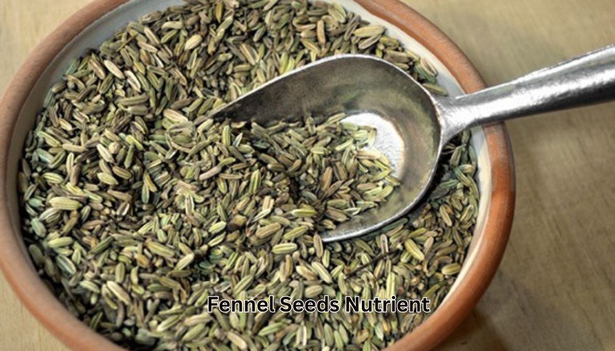 Fennel Seeds Nutrient