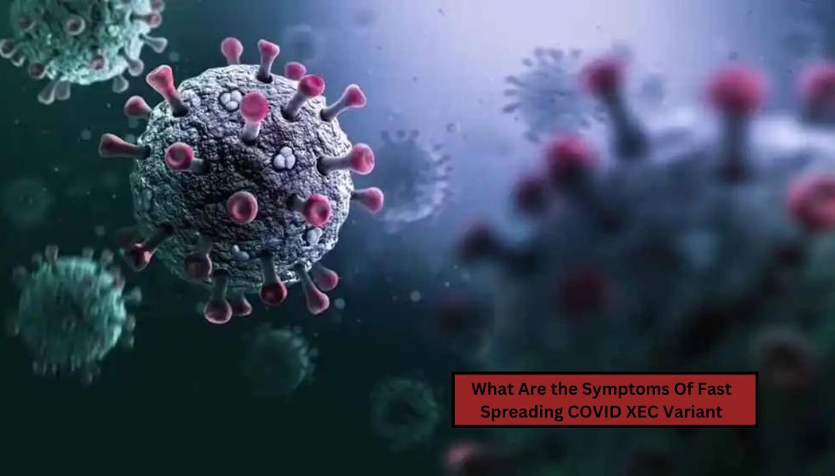 What Are the Symptoms Of Fast-Spreading COVID XEC Variant