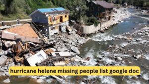 Hurricane Helene Missing People List Google Doc